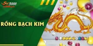 Giải Đáp Rongbachkim 777 Là Gì Cho Các Tân Thủ 2024