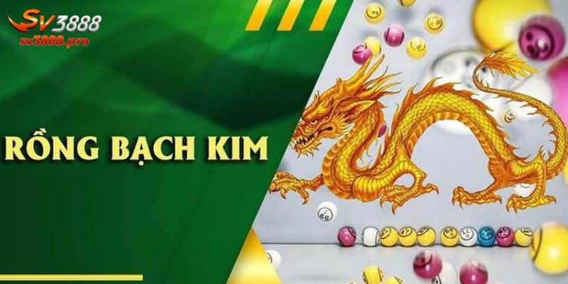Giải Đáp Rongbachkim 777 Là Gì Cho Các Tân Thủ 2024